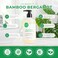 DANI Natural Moisturizing Hand Soap in Bamboo Bergamot, 12 Ounce Bottle with Pump