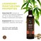 Hemp Seed Massage &amp; Body Oil - 8 fl. oz. - Nourishing, Moisturizing Massage Oil - Hemp Seed, Apricot, Grapeseed &amp; Sweet Almond Oil - Vegan &amp; Cruelty Free