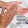 C.O. Bigelow Hand Wash, Rosemary Mint Soap, No. 1526 - Village Perfumer Moisturizing Hand Wash for Bathroom &amp; Kitchen with Aloe Vera, 10 fl oz, Pack of 2
