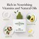 Professional Nail &amp; Cuticle Oil, 2.0 fl oz - Nourished with Jojoba, Avocado, Vitamin E, and Biotin (B7) for Superior Hydration, Repair, Revitalization, and Strengthening (Lemon)