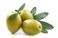 Squalane Oil - Pure, Natural, Plant-Derived, Non-GMO, Refined 32 oz, Squalene Alternative- Ultra Hydrating &amp; Moisturizing Carrier Oil, for Skin, Hair, Body, Face, Nails.Packaging May Vary