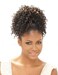 Freetress Braids Shake-N-Go Synthetic Hair PonyTail - Jazz Water (Color: TP4/30)