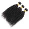 Selina 3 Kinky Curly Human Hair Bundles - 14 inch Curly Unprocessed Remy Hair Extensions, Brazilian Virgin, 100 Gram/Bundle, Natural Color