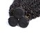 Selina 3 Kinky Curly Human Hair Bundles - 14 inch Curly Unprocessed Remy Hair Extensions, Brazilian Virgin, 100 Gram/Bundle, Natural Color