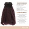 Caliee Afro Kinky Curly Clip in Human Hair Extensions Remy Natural Hair for Black Women Red Brown Blonde #1B/99j Kinky Clip ins 10 Inch/7 Pieces