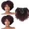 Caliee Afro Kinky Curly Clip in Human Hair Extensions Remy Natural Hair for Black Women Red Brown Blonde #1B/99j Kinky Clip ins 10 Inch/7 Pieces