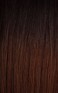 X-pression Braid Outre Crochet Braids X-Pression Twisted Up 3X Springy Afro Twist 24'' (1-pack, 2T4/30)