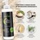 Herbishh Rice Water Hair Growth Shampoo - 400ml with Power of Castor Oil, Argan &amp; Coconut Oil &amp; Biotin   All Hair Type   Hair regrowth for Thinning Hair, Moisturizing &amp; Volumizing   Silicone Free