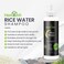 Herbishh Rice Water Hair Growth Shampoo - 400ml with Power of Castor Oil, Argan &amp; Coconut Oil &amp; Biotin   All Hair Type   Hair regrowth for Thinning Hair, Moisturizing &amp; Volumizing   Silicone Free