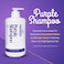Herbishh Sulfate Free Purple Shampoo for Blonde Hair 16.9 fl. Oz, Eliminates Yellow &amp; Brassy Undertones from Silver &amp; Highlighted Hair, Deep Cleansing Shampoo, Frizz Control &amp; Color Protection