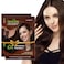 Herbishh Travel Pack Hair Dye Color Shampoo in Sachet + 1pc Argan Hair Mask Sachet (Dark brown, 2 sachets)