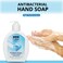 WBM Care Hand Soap, Crafted with Love in Harmony with Nature, Effective Cleanser with Light &amp; Fresh Scent, Liquid Hand Soap - 16.8 fl oz/Each (Pack 1)
