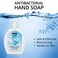 WBM Care Hand Soap, Crafted with Love in Harmony with Nature, Effective Cleanser with Light &amp; Fresh Scent, Liquid Hand Soap - 16.8 fl oz/Each (Pack 1)