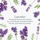 Beekman 1802 Pure Goat Milk Hand Cream - 2 oz - Moisturizing Lotion for Dry Skin - Anti-Aging Hydration - Good for Sensitive Skin - Cruelty Free - Packaging May Vary