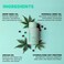 GLOSS.ME Hydrating Shampoo by DESIGNME   Hemp &amp; Argan Oil Shampoo Adds Softness &amp; Shine   Straight, Wavy, or Curly Hair Shampoo   Sulfate-Free &amp; Color-Safe Moisturizing Shampoo for Dry Hair