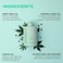 Design.Me GLOSS.ME Hydrating Shampoo   Hemp &amp; Argan Oil Shampoo Adds Softness &amp; Shine   Straight, Wavy, or Curly Hair Shampoo   Sulfate-Free &amp; Color-Safe Moisturizing Shampoo for Dry Hair, 32 Fl Oz