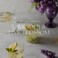 Antica Farmacista Hand Wash -Lavender &amp; Lime Blossom, 10 Fl Oz (Pack of 1)