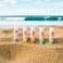 Hanalei Mint Lip Balm &amp; Moisturizer &ndash; Natural Kukui Oil &amp; Beeswax for Hydrated, Soothed, Soft Lips &ndash; Heals Dry, Chapped, Cracked Skin &ndash; Long-Lasting Travel-Friendly Lip Care &ndash; Island Mint Flavor
