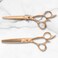 Saki Gold Professional Set of Hair Shears - 6 Inch Set Includes Gold Hair Scissors, Thinning Shears and Razor and Leather Carrying Case