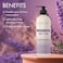 Majestic Pure Lavender &amp; Almond Body Lotion with Aloe Leaf Extracts   Nourishing &amp; Moisturizing   Quick Absorbing, Lightweight &amp; Non Greasy   For All Skin Types   For Women &amp; Men   16fl oz
