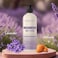 Majestic Pure Lavender &amp; Almond Body Lotion with Aloe Leaf Extracts   Nourishing &amp; Moisturizing   Quick Absorbing, Lightweight &amp; Non Greasy   For All Skin Types   For Women &amp; Men   16fl oz