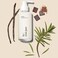 By Rosie Jane Everyday Body Milk (Dulce) - Hydrating Toner &amp; Body Moisturizer to Help Even Skin Tone - Infused with Soothing Aloe Vera and Turmeric Root to Promote Anti-Aging (5 Ounce)