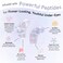 grace &amp; stella Under Eye Patches with Peptides &amp; Rice Extract - Firming Eye Masks for Dark Circles and Puffiness - Iridescent Eye Mask Patches for Firmer-Looking Skin - Vegan, Cruelty-Free, 24 Pairs