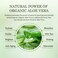 Aloderma Firming Cream for Face and Neck with 62% Organic Aloe Vera - Firming Face Cream with Hyaluronic Acid &amp; Carnosine - Natural Renewing Aloe Face Cream - Instantly Hydrate &amp; Plump Skin, 1.7oz