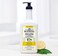J.R. Watkins Daily Moisturizing Lotion &ndash; Body Cream in Pump Dispenser &ndash; Hydrating Skin Cream Made with Shea Butter, Cocoa Butter, Coconut Oil &amp; Vitamin E, Lemon Cream, 18 fl oz