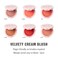 Jillian Dempsey Cheek Tint: Natural Cream Blush, Easy to Blend Makeup with Nourishing, Lasting Color I Scarlet