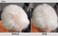 Joan Rivers Great Hair Day Root Touch Up Powder &ndash; Fill-in Powder for Thicker, Fuller Looking Hair (White)