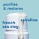 Seaweed Bath Co. Detox Body Wash, Rosemary Mint Scent, 12 Ounce, Shower Gel for Men &amp; Women, Vegan, Paraben Free, Sulfate Free, Cruelty Free