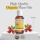 Pranarom - USDA Certified Organic Cold-Pressed Rosehip Virgin Plant Oil - 2 fl oz Glass Bottle - for Anti-Aging, Helps Acne Scar, Massaging, Face, Hair &amp; Skin, Unisex