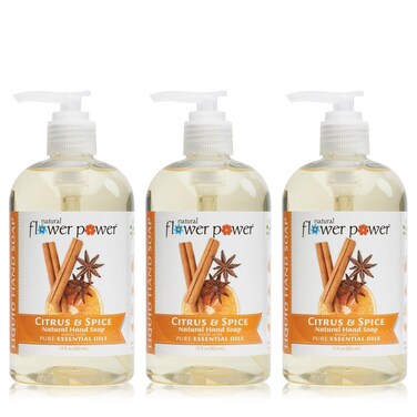 Moisturizing Liquid Hand Soap &ndash; Citrus &amp; Spice &ndash; Plant-Based + Aloe Vera &ndash; Scented w/ Essential Oils &ndash; Natural Hand Wash Kitchen + Bathroom &ndash; 12 Fl Oz Pump Bottles (Pack of 3)