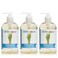 Moisturizing Liquid Hand Soap &ndash; Lemongrass &ndash; Plant-Based + Aloe Vera &ndash; Scented w/ Pure Essential Oils &ndash; Natural Hand Wash Kitchen + Bathroom &ndash; 12 Fl Oz Pump Bottles (Pack of 3)