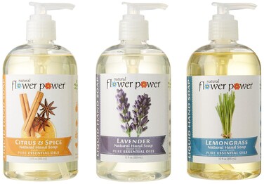 Moisturizing Liquid Hand Soap &ndash; Citrus &amp; Spice, Lavender &amp; Lemongrass &ndash; Plant-Based + Aloe Vera &ndash; Scented w/ Essential Oils &ndash; Natural Hand Wash &ndash; 12 Fl Oz Pump Bottles (Pack of 3)