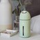 Hey Dewy Wireless, Rechargeable, Self-Care, Skin-Nourishing, Hydrating, Portable Cool Mist Humidifier (Sage)