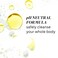 Fur All Body Wash- PH-Balancing Oil Body Wash, Hydrate and Soften Your Skin - 8 FL OZ