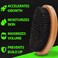 GROW First Cut Boar Bristle Beard &amp; Wave Brush for Men 360 - Beard/Hair Growth Follicle Stimulator - Exfoliate - Detangle - Moisturize - Improve Circulation &amp; Blood Flow (USA)