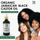 Seddy Organic Jamaican Black Castor Oil - with Rosemary &amp; Peppermint Oil in Glass Bottle - Cold Pressed   Hexane-Free   Promotes Hair Growth   Strengthens Hair   Hair Treatment Oil - 3.4 Fl. Oz
