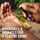 Every Man Jack Unscented Beard Oil for Men - Fragrance Free for Sensitive Skin - Naturally Moisturizes and Softens Beard w/Shea Butter &amp; Argan Oil - 1 fl oz (2 pack)