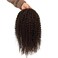 12" Long Kinky Curly Human Hair Replacement for Men Stock Toupee Mono Lace and PU Around with Swiss Lace Front 10"x8" #3 Dark Brown Bolor