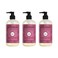 MRS. MEYER'S CLEAN DAY Liquid Hand Soap Mum, 12.5 Fl Oz. (Pack of 3)