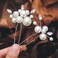 Casdre Pearl Bridal Hair Pins Crystal Bride Hair Piece Wedding Hair Accessories for Women and Girls(Pack of 2) (A Silver)