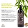 Hemp Seed Hand &amp; Body Lotion - Soothe Dry Skin - Argan Oil, Hemp Seed Oil - Light, Non-Greasy Formula - Vegan &amp; Cruelty Free