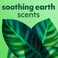 Softsoap Eucalyptus &amp; Mint, Moisturizing Body Wash, 591 ml