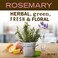 Mrs. Meyers Clean Day Liquid Hand Soap, Cruelty Free and Biodegradable Formula, Rosemary Scent, 12.5 oz- Pack of 3