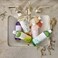 Thymes Mandarin Coriander Hand Wash Refill - Scented Liquid Hand Soap - Nourishing and Lightly Scented, Ideal for Daily Cleansing - Warm &amp; Fresh Mandarin Scent - Liquid Hand Soap - 24.5 Fl Oz