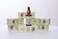 Ginger and Biotin Hair Growth Serum, 1 Fl Oz (Pack of 1), Beige