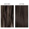 Dr. Bio Wrap-Up Treatment (8.45oz/250ml)  Damaged Hair Repair Treatment, Moisturizing Protein Conditioner for Volume with Probiotics &amp; Amino Acid, Sensitive Scalp Relief, Korean Hair Care, Vegan